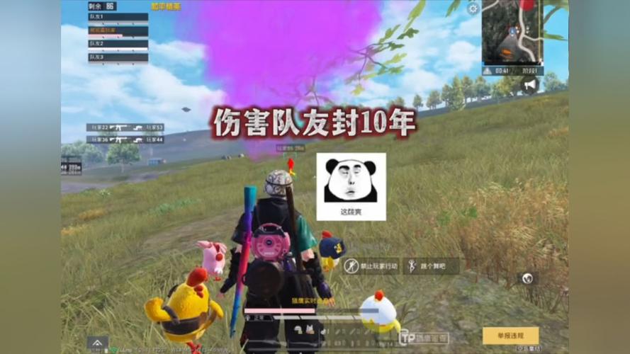 和平精英辅助软件详细评测:哪款值得信赖?