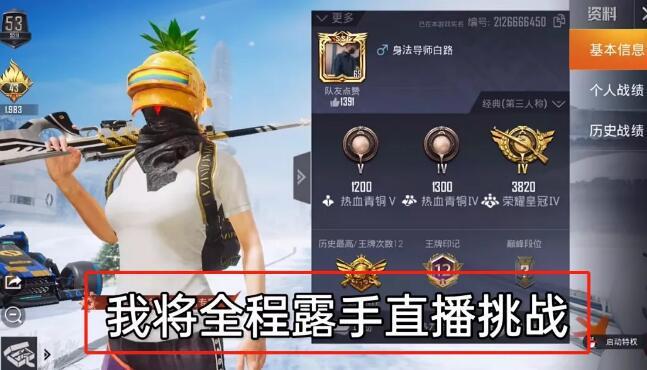 和平精英辅助【哮天犬】